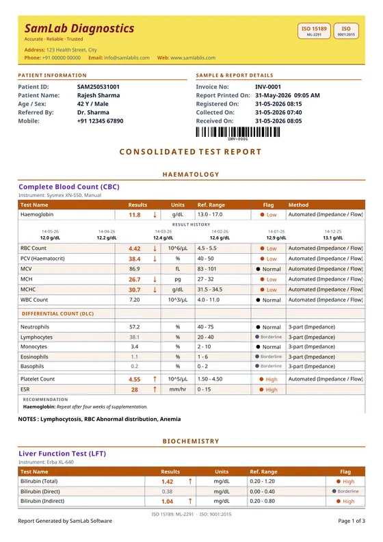 Grid 1 — a report page printed by SamLab