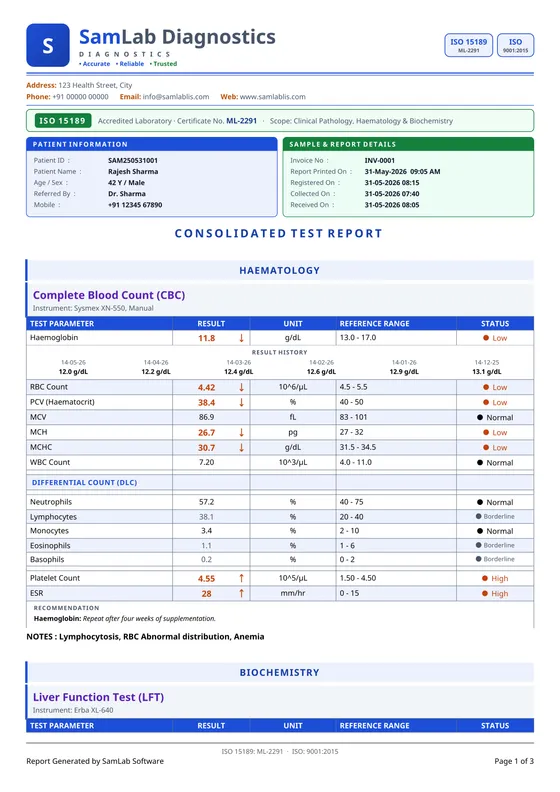 SamLab Modern — a report page printed by SamLab