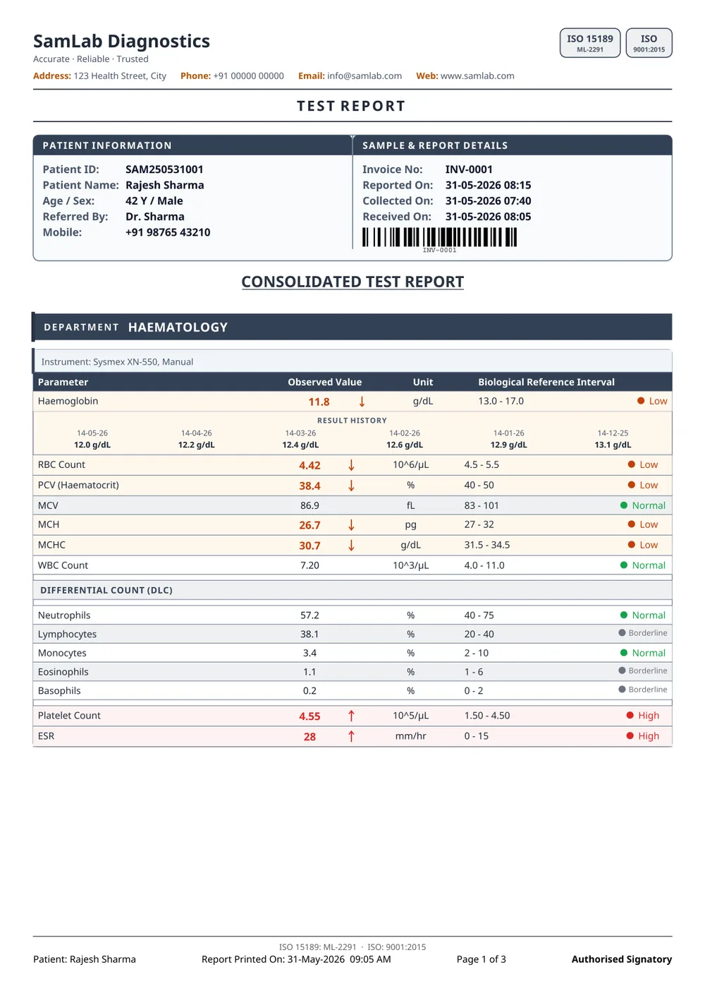 Basic report format — page 1