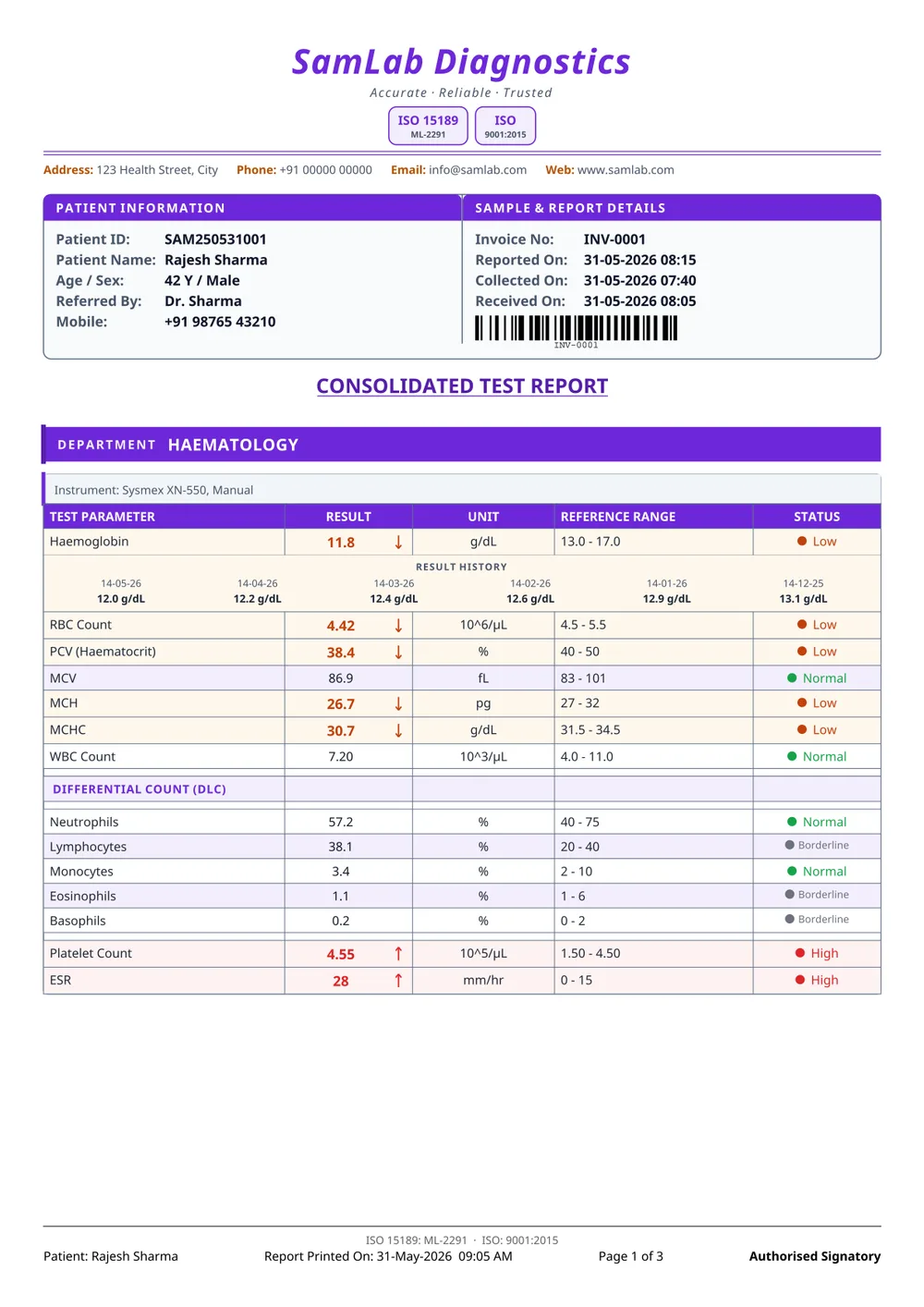 Elegant report format — page 1