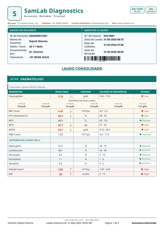 Report printed in Português