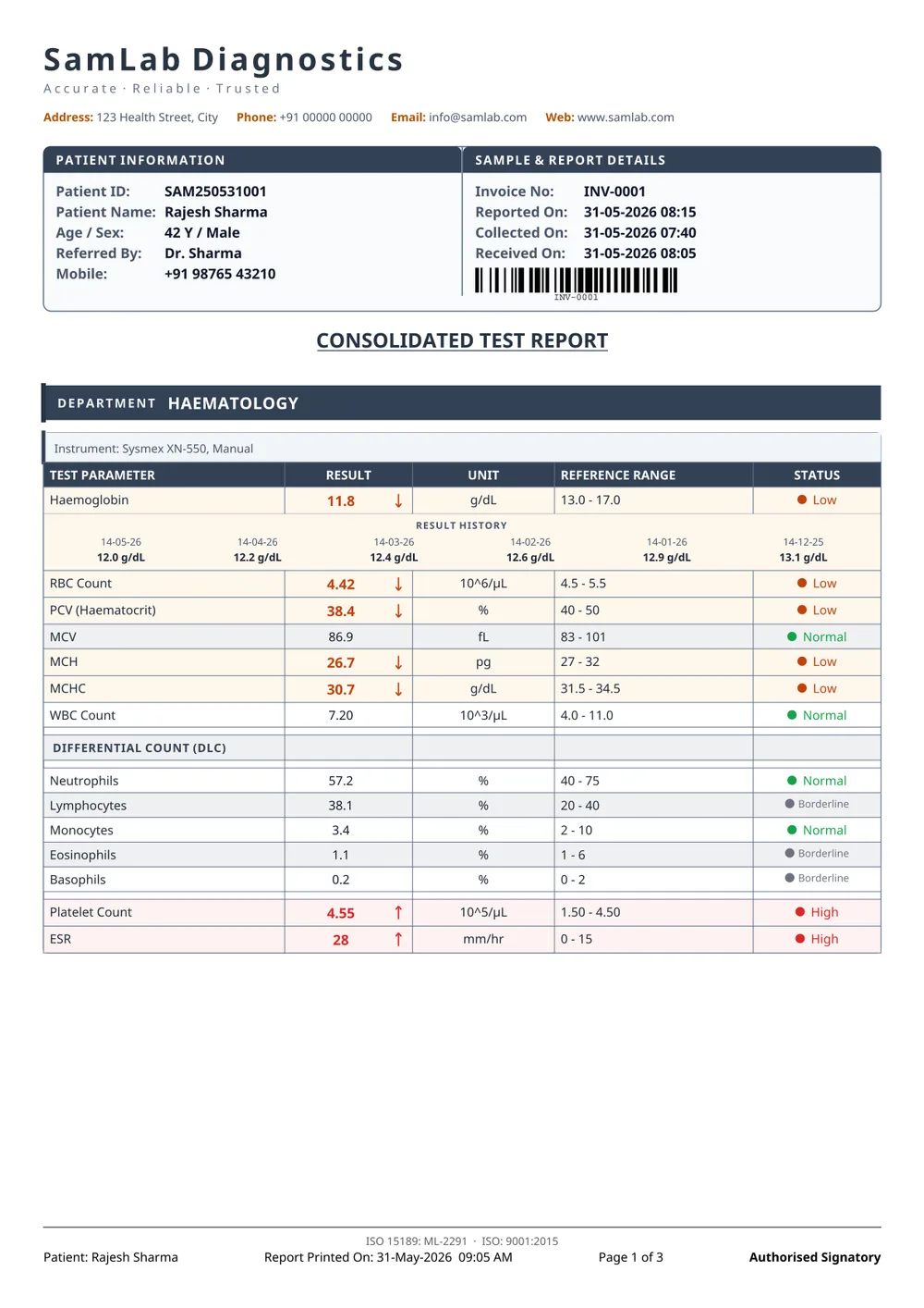 Minimal report format — page 1