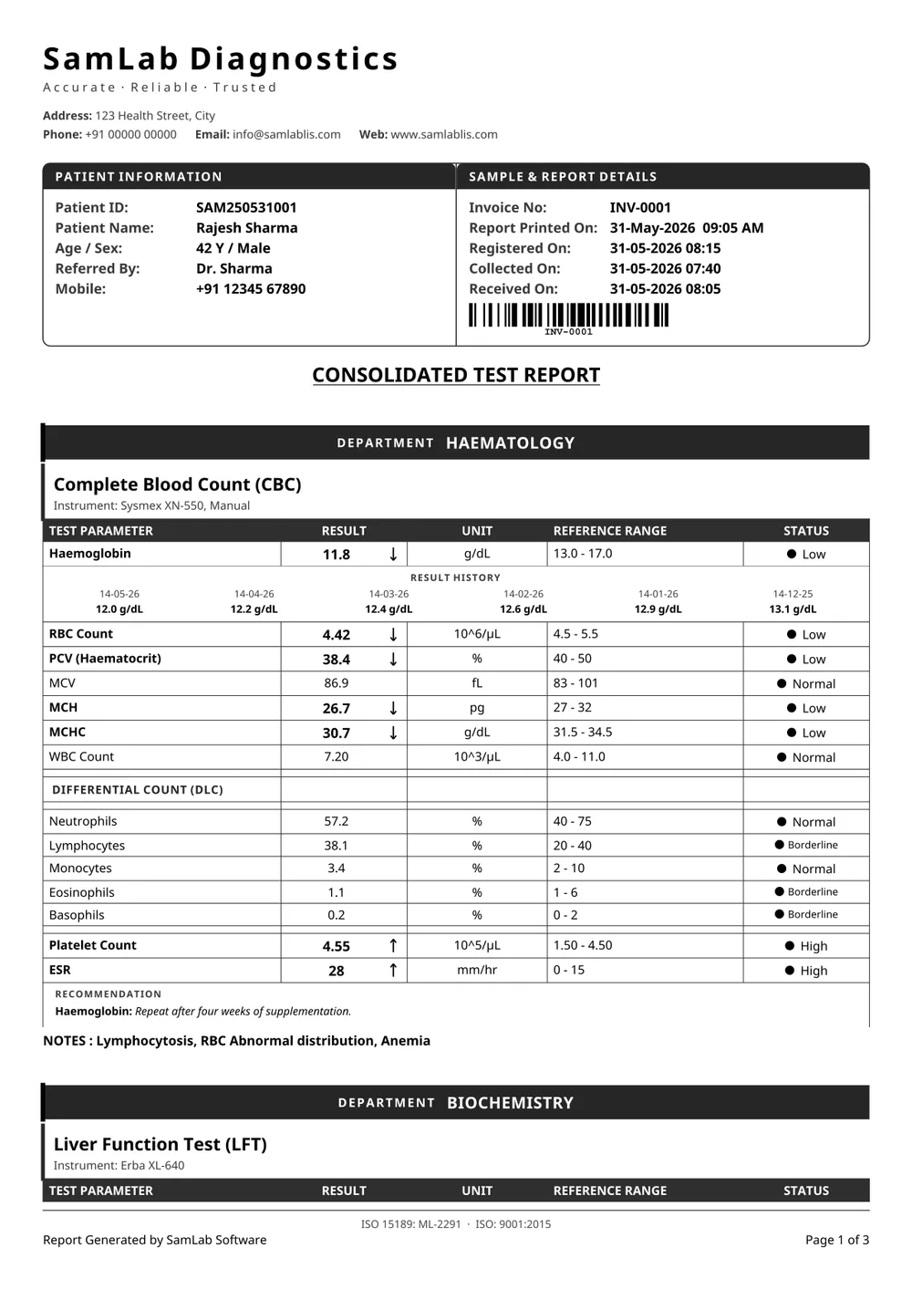 Minimal report, black & white print