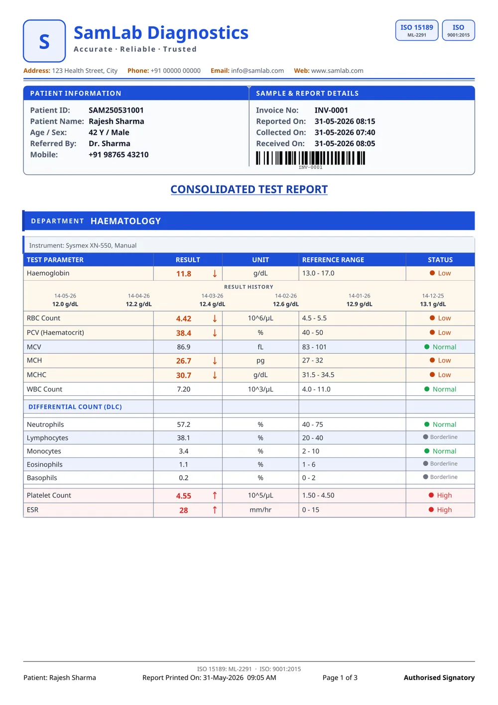 SamLab Formal report format — page 1