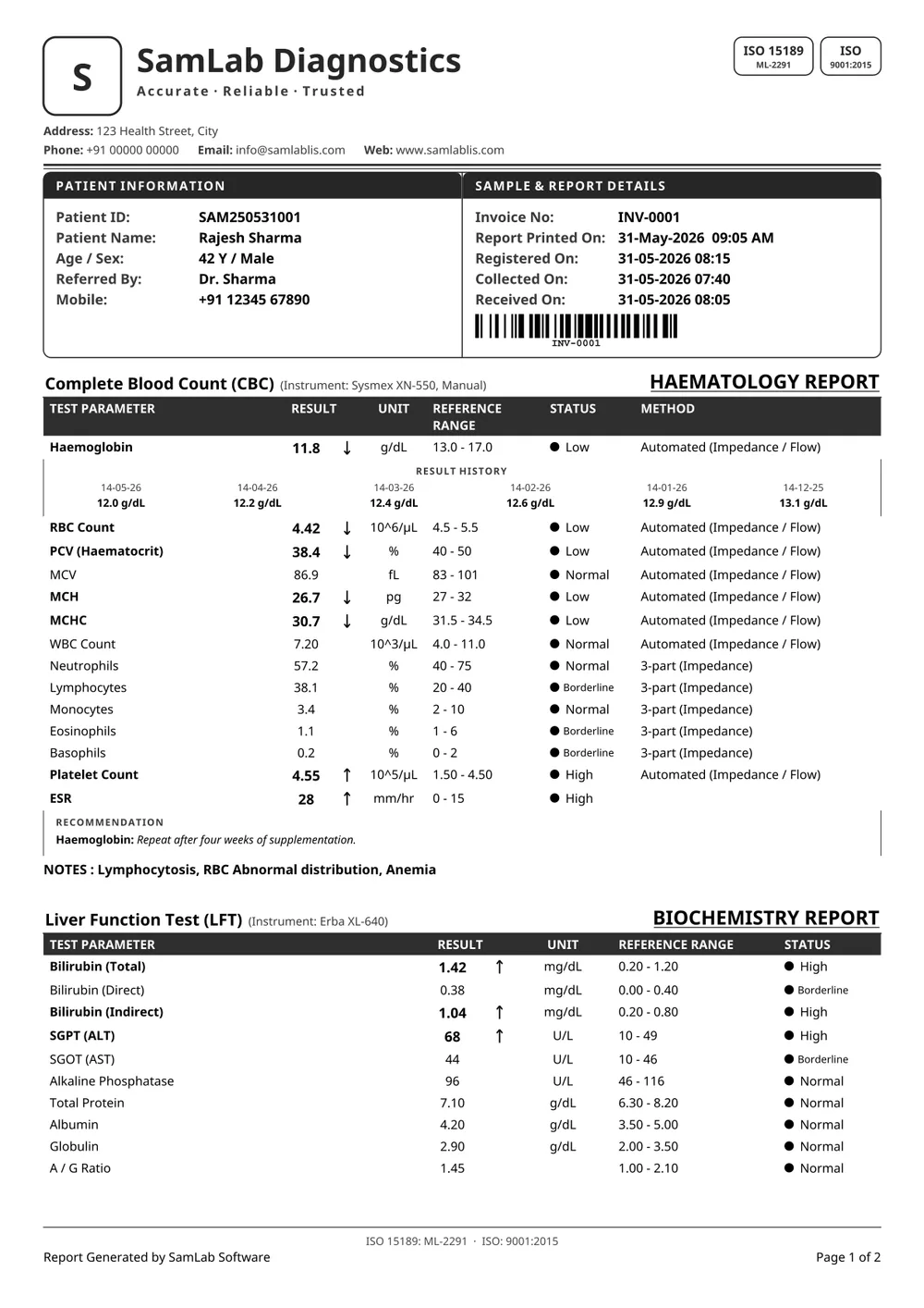 SamLab Formal report, black & white print