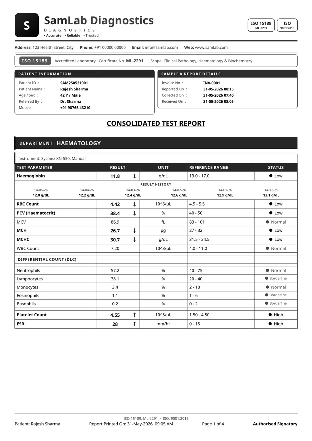 SamLab Modern (black & white) — sample report