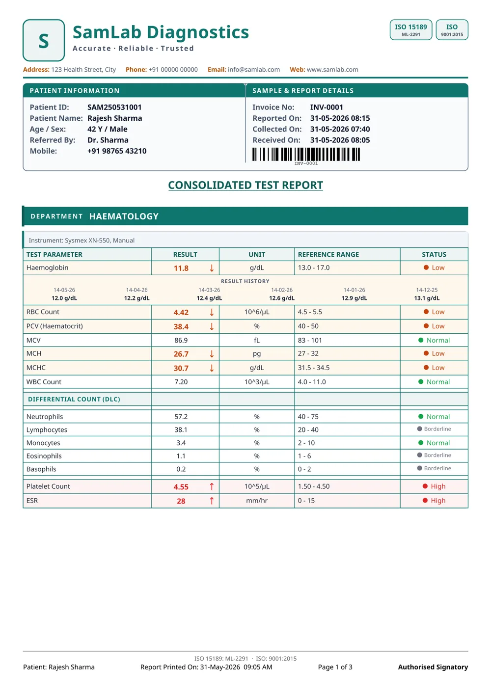 Traditional ruled table — sample report